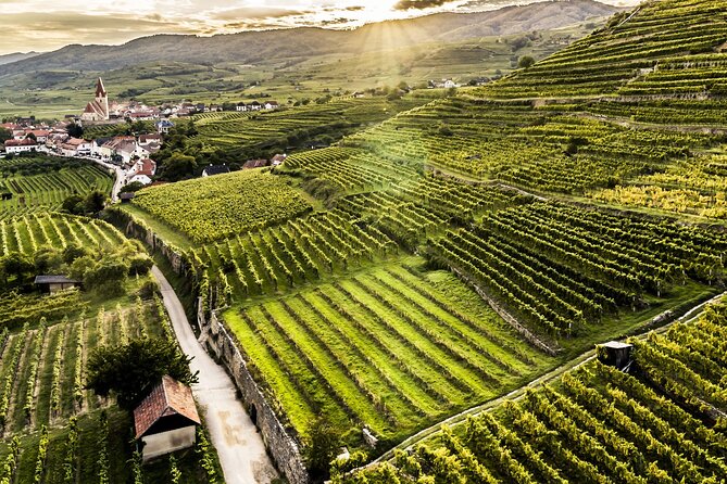 3 Castles & Wine Private Tour in Wachau Valley (incl. Melk Abbey) - Stop 3: Wachau Valley Winery Tasting With Grüner Veltliner and Riesling
