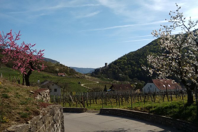 3-Hour Private Hiking Tour to historic places around Spitz in Wachau Valley - Why Spitz feels like a reset from Vienna