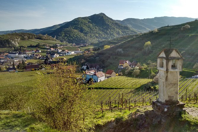 3-Hour Private Hiking Tour to historic places around Spitz in Wachau Valley - Getting from Vienna to Spitz, without wrestling the schedule