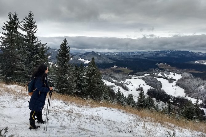 4-Hour Private Alpine Great George at High Wall Mountain from Vienna - Why the Hohe Wand Great Gorge feels quieter than the south side