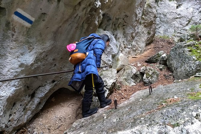 4-Hour Private Alpine Great George at High Wall Mountain from Vienna - How the Vienna Central Station start sets you up for a stress-free morning