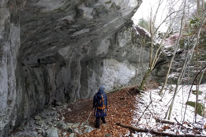 4-Hour Private Alpine Great George at High Wall Mountain from Vienna - The ladder sections: how Michael helps you stay confident on slick rock