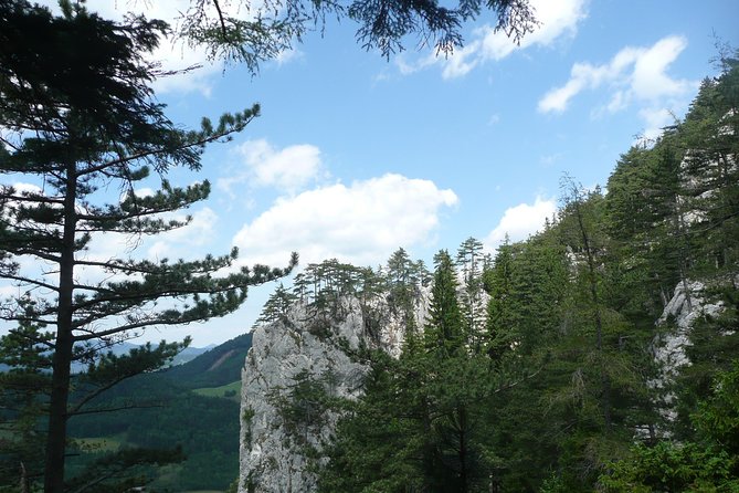 4-Hour Private Alpine Great George at High Wall Mountain from Vienna - The Great Gorge hike itself, ladders, rungs, and a former show cave