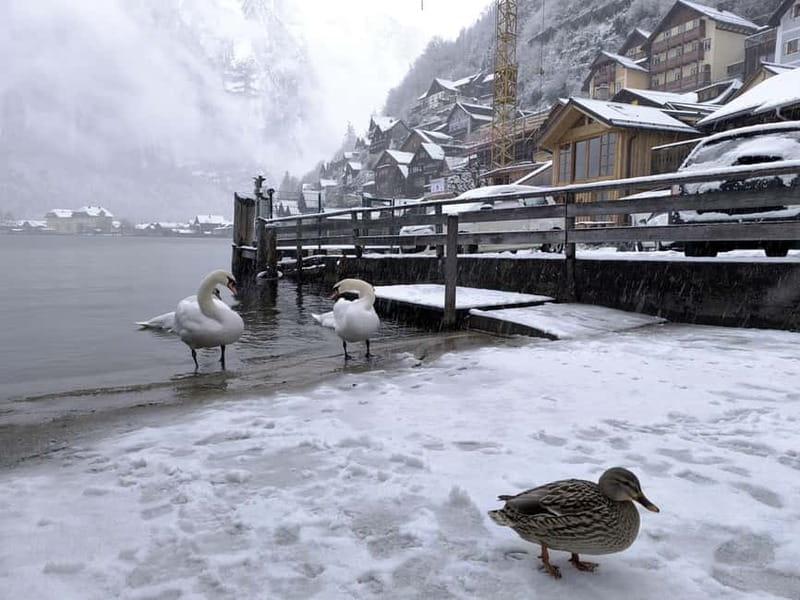 Alpine Beauty & Fairytale Towns: Hallstatt & Salzburg Tour - Salzburg first: Old Town feel, Mozart sites, and Sound of Music steps