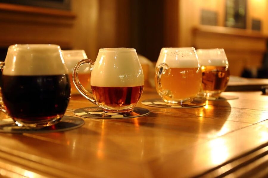 Austrian Beer Tasting and Self-Guided Tour of Vienna - Should You Book This Austrian Beer Tasting Tour?