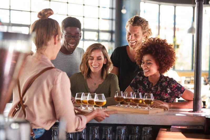 Austrian Beer Tasting and Self-Guided Tour of Vienna - The Booklet That Does the Real Work (PDF, Map, and Beer Notes)