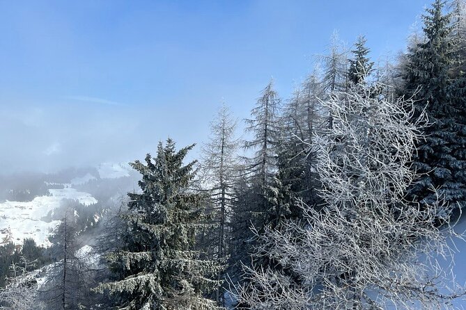 Austrian Hidden Gem Tour: The Most Beautiful Villages - Castle Matzen Pass-By: Panoramas Without the Ticket Hassle