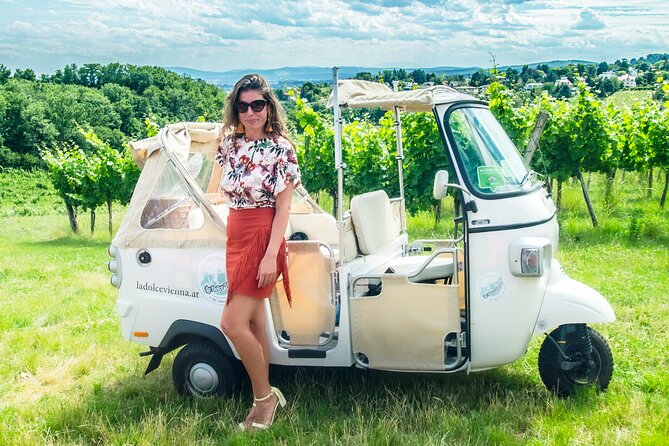 Best of Vienna Tour in TUK TUK! - Weather, Timing, and Booking Smart