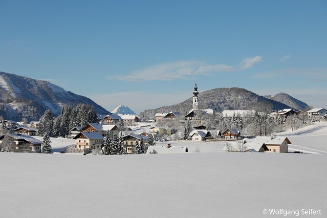 Christmas Horse-Drawn Sleigh/Carriage Ride from Salzburg - Ramsau am Dachstein: where the horses and snow take over