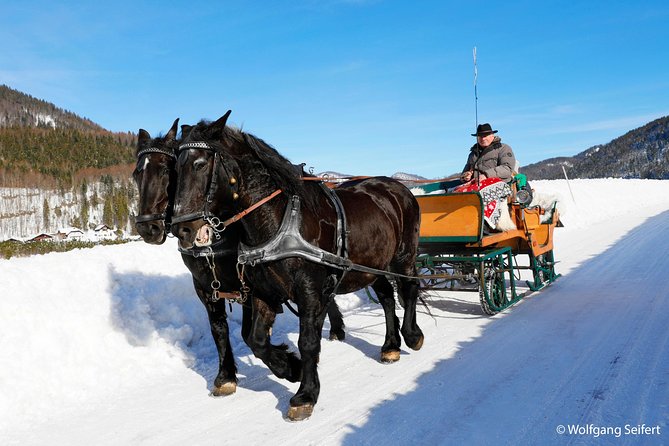 Christmas Horse-Drawn Sleigh/Carriage Ride from Salzburg - The return drive via Filzmoos: second chances at photos