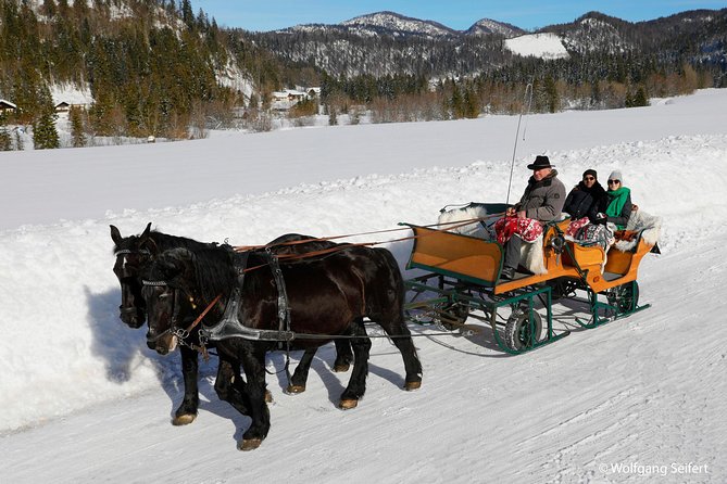 Christmas Horse-Drawn Sleigh/Carriage Ride from Salzburg - Price and value: is $151.23 worth it?