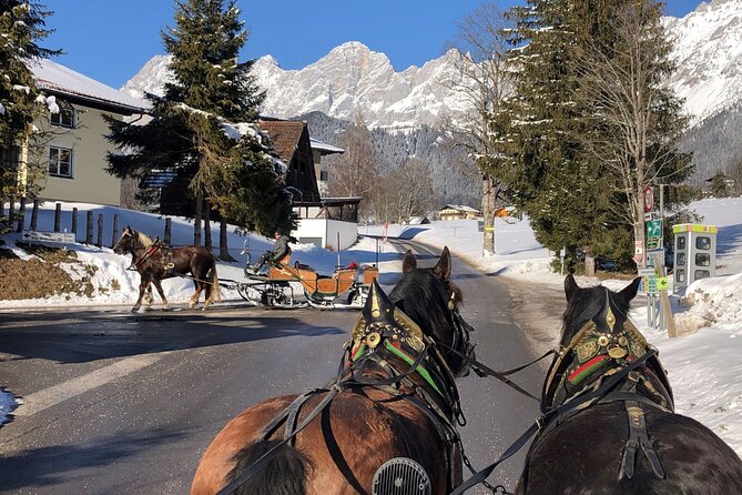 Christmas Horse-Drawn Sleigh/Carriage Ride from Salzburg - Who should book this Christmas sleigh day trip