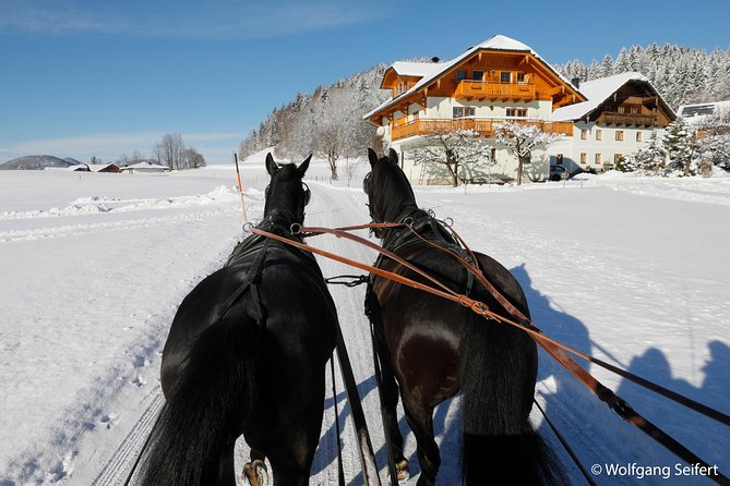 Christmas Horse-Drawn Sleigh/Carriage Ride from Salzburg - Lunch in Ramsau: keep it flexible, and budget for it