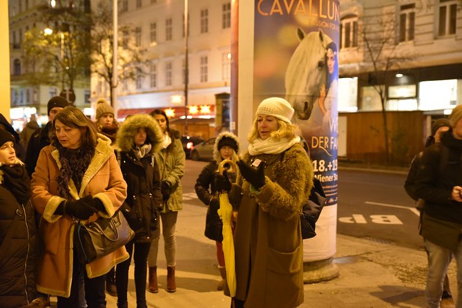 Christmas Market Vienna Tour - Drinks, snacks, and the 18-plus reality