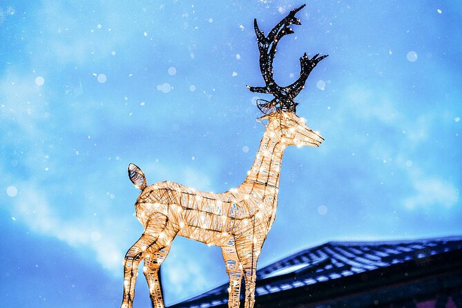 Christmas Walk Vienna : 5 Markets & Old Town in 3h (EN/DE) - What this tour is best for, and who might prefer something else