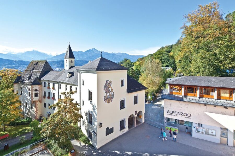 Combi Entrance Ticket to Alpine Zoo and Hungerburg - Hungerburg funicular: the ride is part of the attraction, not just transit