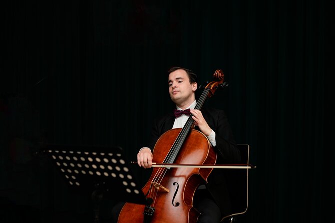 Concert at House of Music Vienna: Mozart, Strauss & the Masters - Entering the theatre: the vibe is warm, not stiff