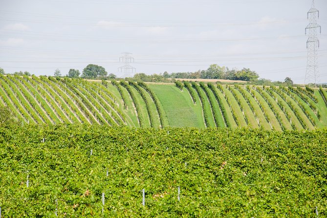 Countryside Half Day Wine Tour near Vienna - The Wines Add Up: How the Tastings Work Across the Day
