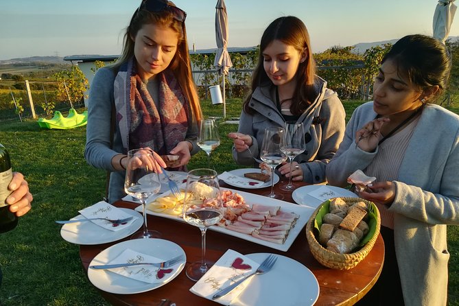 Countryside Half Day Wine Tour near Vienna - Guides Matter: What Makes Their Style Worth Noting