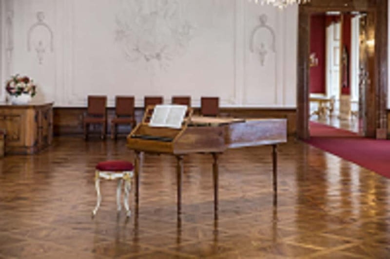 DomQuartier Salzburg: Date with Mozart! Afternoon concerts at the Residenz - The Date with Mozart program: 45 minutes, changing line-ups, real listening