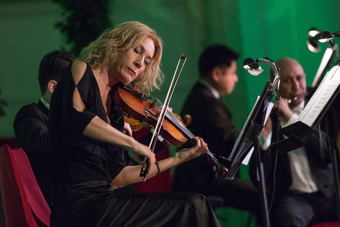 Exclusive Evening at Schönbrunn Palace: After-Hours Audiotour, Dinner, Concert - Comfort and Pacing: The Practical Things to Plan Around
