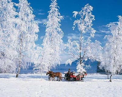 From Salzburg: Ramsau Day Trip with 1-hour Carriage Ride - Key highlights to look forward to