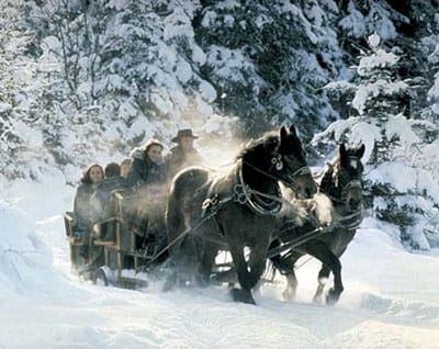 From Salzburg: Ramsau Day Trip with 1-hour Carriage Ride - The sleigh ride: warm blankets, real horses, and the photo-friendly magic