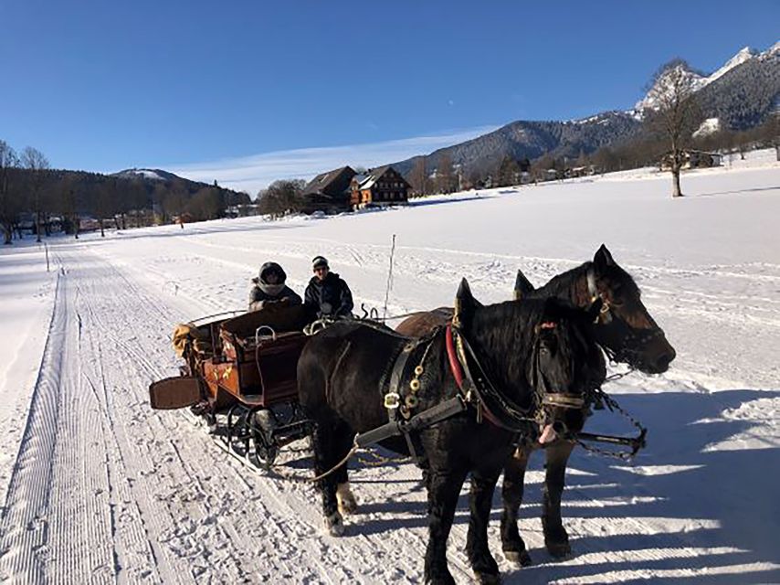 From Salzburg: Ramsau Day Trip with 1-hour Carriage Ride - Should you book this Salzburg to Ramsau sleigh day trip?