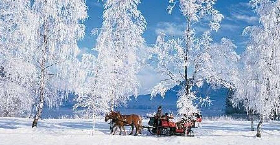 From Salzburg Romantic Carriage Ride through the Countryside - Quick takes: what makes this ride worth your time