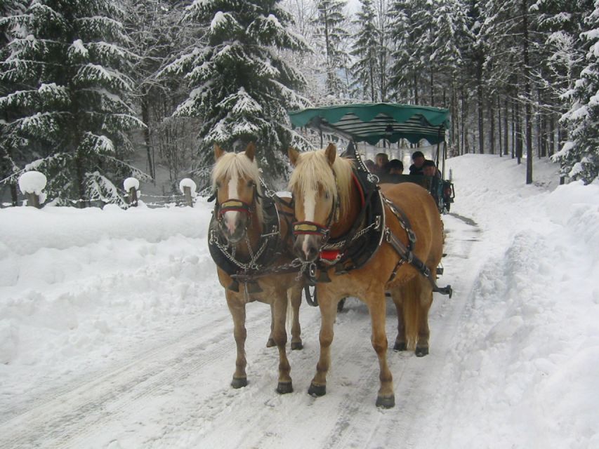From Salzburg Romantic Carriage Ride through the Countryside - St Wolfgang in the free time: coffee, walks, and Christmas market season
