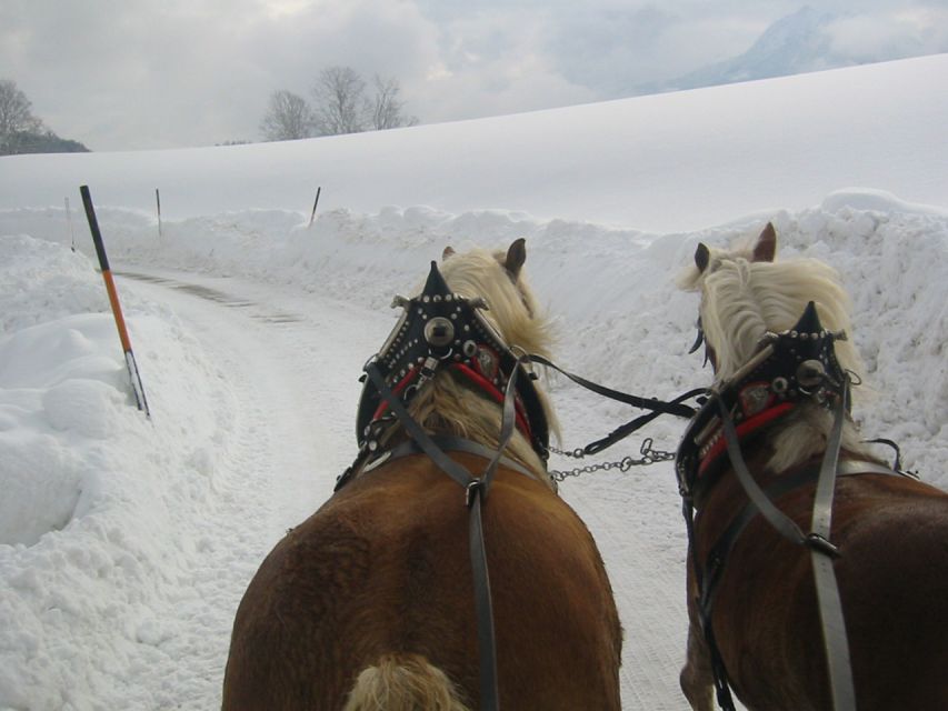 From Salzburg Romantic Carriage Ride through the Countryside - Guide and driver impact: it turns a ride into a story