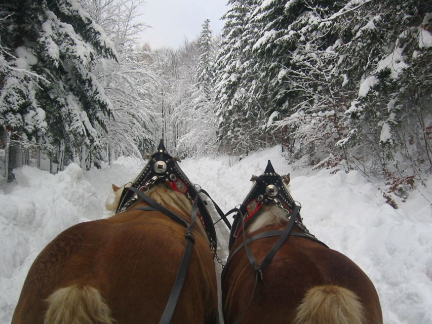 From Salzburg Romantic Carriage Ride through the Countryside - Price and value: $883 per group, not per person