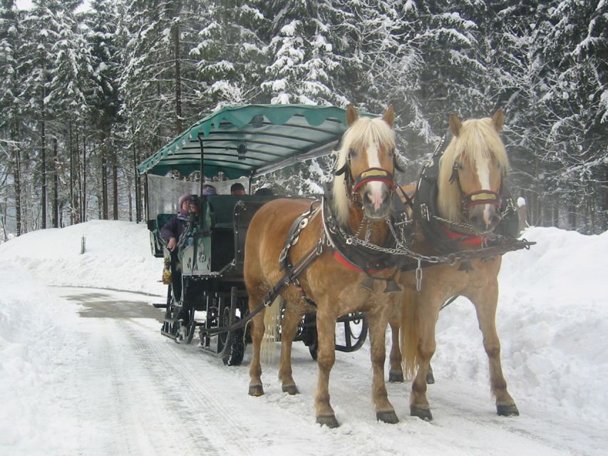 From Salzburg Romantic Carriage Ride through the Countryside - What to wear and bring for a truly comfortable 4 hours