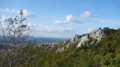 Bratislava & Countryside Guided Half Day Tour