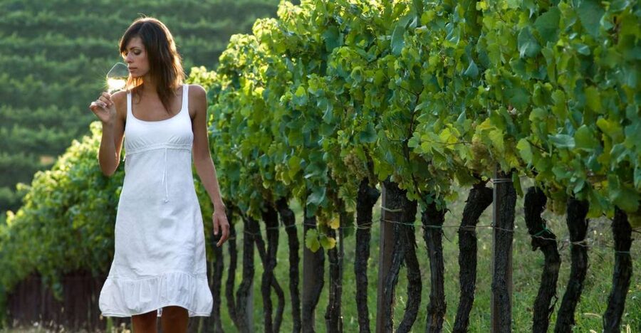 From Vienna: Half-day Countryside Wine Tour with Meal - Weinviertel: The Countryside Detour That Actually Feels Like Austria