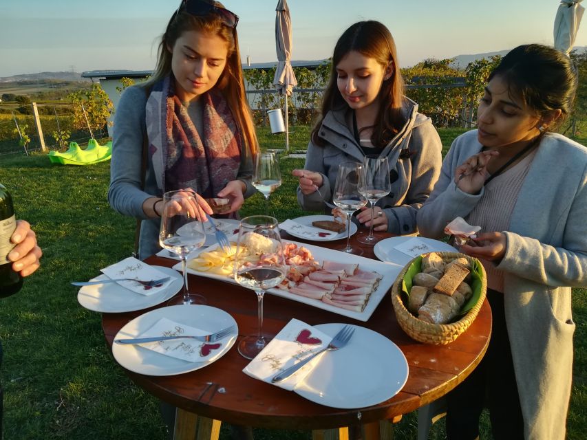 From Vienna: Half-day Countryside Wine Tour with Meal - The Third Winery Option: When You Want 12 Glasses and Extra Time to Compare