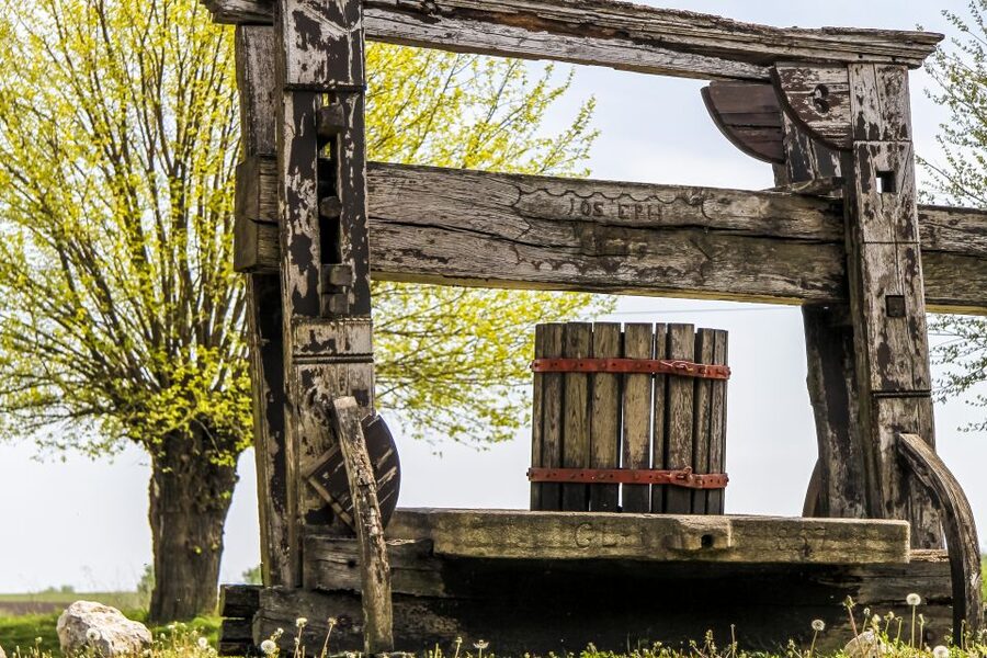 From Vienna: Half-day Countryside Wine Tour with Meal - Your Hosts and Guides: What the Best Ones Do