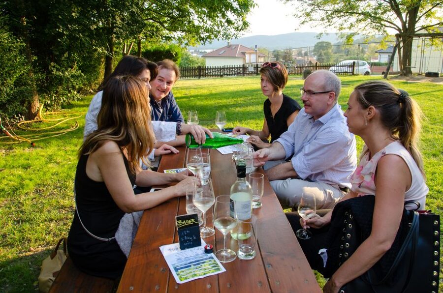 From Vienna: Half-day Countryside Wine Tour with Meal - Who Should Book This Tour, and Who Might Skip It