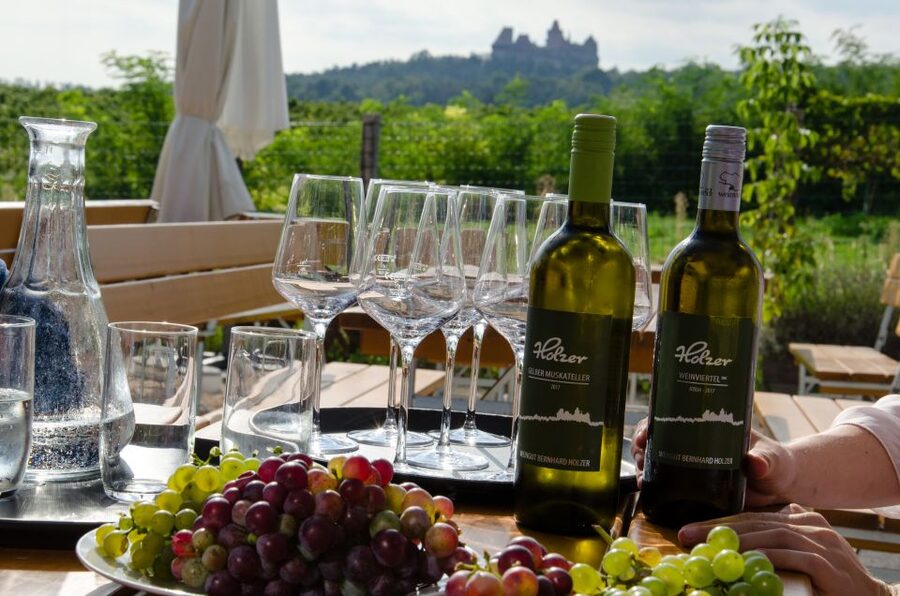 From Vienna: Half-day Countryside Wine Tour with Meal - Pickup, Timing, and the Small-Group Advantage
