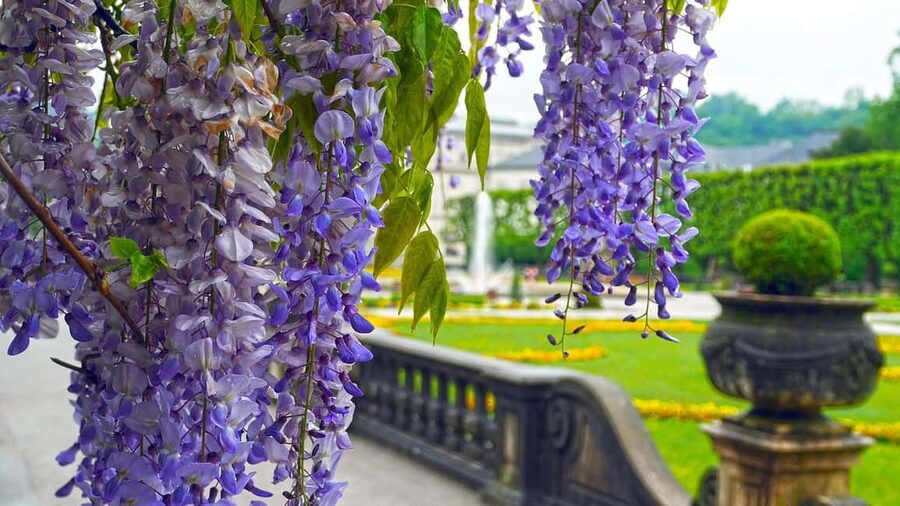From Vienna: Melk Abbey to Salzburg - Baroque Gems - Melk Abbey: Baroque architecture that feels like a stage set