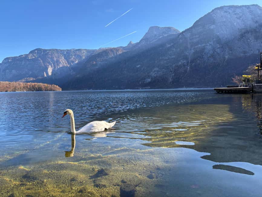 From Vienna: Traunkirchen, Hallstatt & Salzburg Day Trip - Who this tour suits best, and who should skip it
