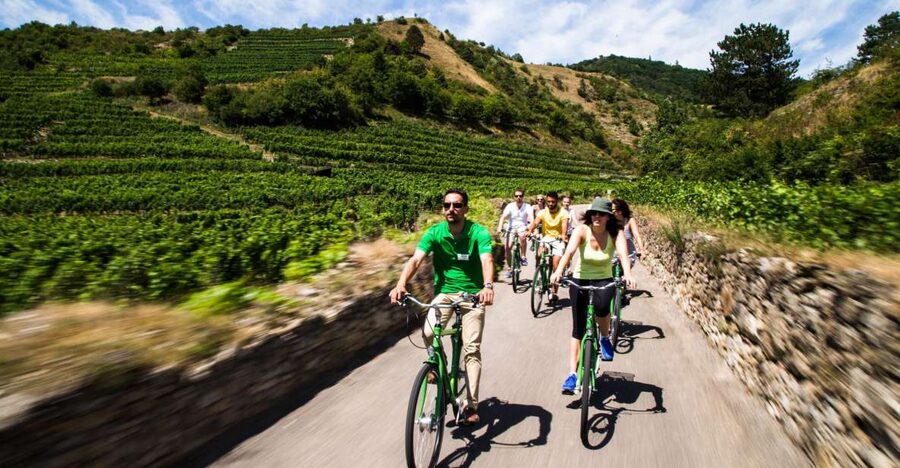Grape Grazing: Wachau Valley Winery Biking Tour - Key Things That Make This Wachau Bike and Wine Day Work