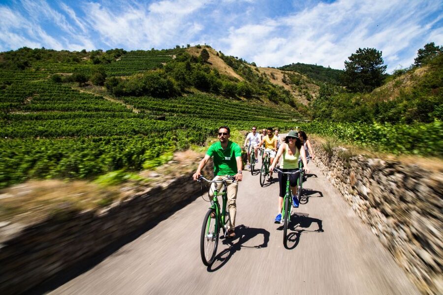 Grape Grazing: Wachau Valley Winery Biking Tour - Wachau Valley biking plus wine tasting, why it hits different