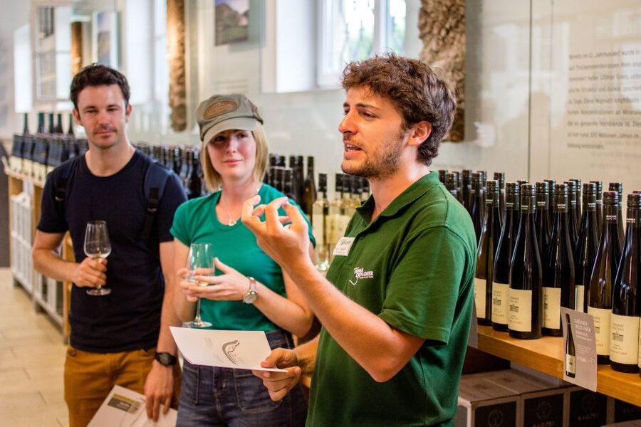 Grape Grazing: Wachau Valley Winery Biking Tour - Dürnstein free time and the castle ruins option