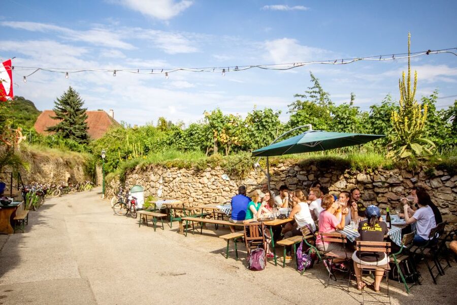 Grape Grazing: Wachau Valley Winery Biking Tour - Wine tasting at small wineries and Domäne Wachau