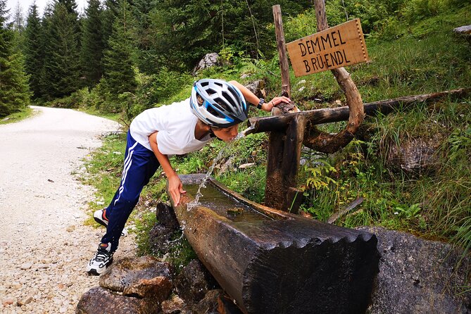 Guided e-bike tour of the alpine pastures in the Salzkammergut - Plankensteinalm and the Leutgeb hut break