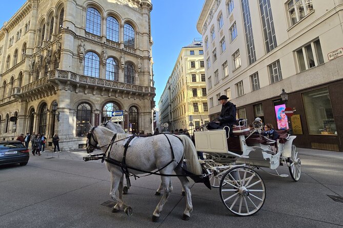 Highlights of Vienna in a Historical & Cultural 3h Walking Tour - Start at Mozarthaus, and understand Mozart’s Vienna before you move on