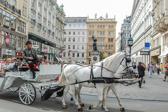Hofburg Imperial Palace and Sisi Museum Skip the line tour - Guides and Group Size: What You Can Expect From the Human Part