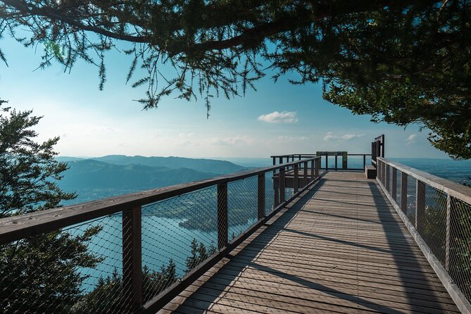 Immersive Private Tour: Hallstatt After the Crowds & Treetop Path - A day designed around timing, not just attractions
