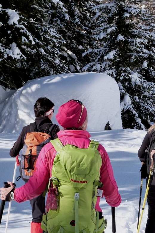 Innsbruck: Priv. Guided Snowy Mountain Hike /Snowshoe´s - Key Highlights You Should Know